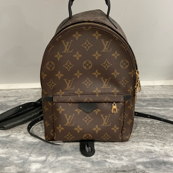 Louis Vuitton Palm Springs PM Backpack - Picture 2 of 6